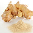 nacona 生姜パウダー 1kg 無添加 無着色 国産しょうが使用 野菜ファインパウダー アレルゲンフリー 食材 仕込み 時短 健康メニュー スープ ソース ベース 素材原料 業務用