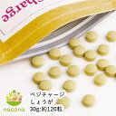 nacona 温活するなら ベジチャージ 生姜 30g 無着色 国産しょうが使用 温活