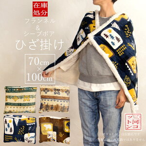  uPbg Ђ| 70×100cm | |Pbgt ѕz NbV {A mfBbN k |GXe tl V[v{A O[ x[W lCr[ uE 킢 