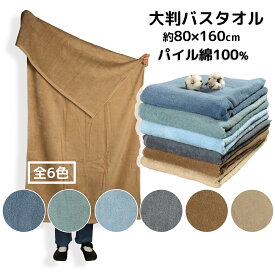 大判バスタオル タオルケット 80×160cm パイル 綿100% 吸水 お昼寝ケット 保育園 介護 敷物 バスマット 業務用 エステ サロン 接骨院 整骨院 マッサージ 無地 コットン ビッグサイズ ブルー グレー ベージュ ブラウン