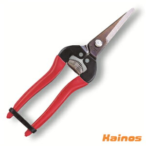 y[֑ΉzAX ̉ (uX^[pbN) y310-BPz (ARS E ̉ ̎ nT~  ʎ ʕ ؒf E ̎ ̎ ̉ Ȑn | K[fjO)