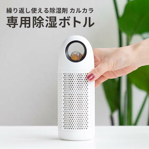 y݌ɏIz RpNg@@JJp@{gPi