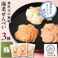 ＼ ギフト 父の日 ／ 手焼きえびせんべい これぞ本物 三河一色の海老せんべい 包装手提げ付き 贈答用 厳…