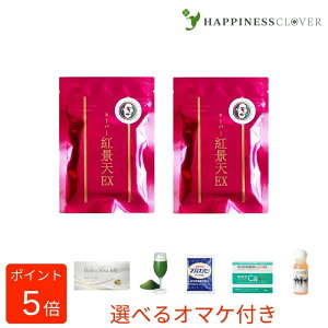 スーパー紅景天EX こうけいてん 60粒 ( 30粒 × 2個 ) 紅景天 濃縮エキス 冬虫夏草 ユウチュウソウ 朝鮮人参 チベット産 男性の活力 koukeiten サプリ サプリメント健康食品 防腐剤不使用 徳潤