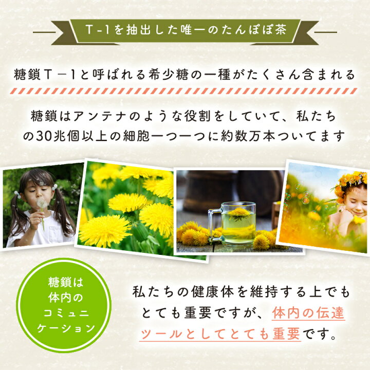 楽天市場】タンポポ茶 ショウキT-1プラス 100ml × 30包 1箱 健康茶 