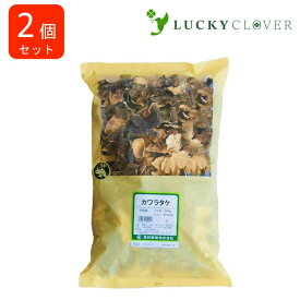 【2個セット】カワラダケ 瓦茸 生 500g 高砂薬業 カワラタケ