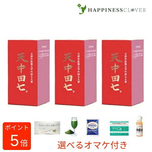 Vc Ă񂿂イł񂵂 300 JvZ (100 × 3) clQ NlQ lQ sZk T|j Tv NHi N⏕Hi t߂銿Tvg 