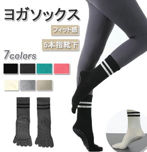 seBX C K\bNX seBX\bNX K C 5{w\bNX fB[X ~ߌC O ۉ z ʋC  ΍ _X X|[c jp 2Zbg 5{wC