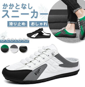 Xj[J[ Y C ᔽC\[ Ȃ LeBO  lC  JWAV[Y [Jbg ʋ ʊw i x d 傫TCY WFCLbNX Vv