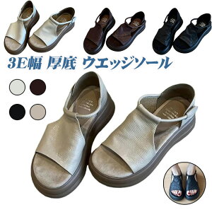 yԌE10%OFFN[|z3E  EGbW\[ fB[X T_ 5cm  {v ^  ʋC y  ₷ Xb| }WbNe[v Xgbv x?  Ȃ 