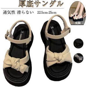 fB[X T_  { l킢 r[`T_ ₷ r JWAT_ C ʋC Ȃ AEghA ItBX EH[LO  傫TCY T