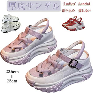 T_ fB[X 6cmgAbv Xj[J[T_ 󒤍fUC y r L  ʋC ~ ₷ Ȃ ʋ ʊw JWA t  JWA 