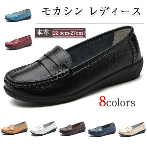 JV fB[X  ₷ {v [t@[  _炩 hCrOV[Y ʋC L 傫TCY pvX Ȃ RۖhL tbgV[Y ʋ Xb| 