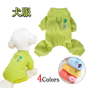   p[X l̑ t H ~  N₩ h? n y Lk  H~ m pW} Ȃ  EhlbN g ۉ q ^ ^ L Jo[I[ 