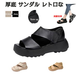  T_ gȌ T_ fB[X 5cmgAbv r y ʋCK L ~ t   JWAV[Y EH[LOV[Y ₷ lC AEghA 