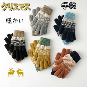  Y ~ h X}zΉ j g  jbg ] av[g NX}Xv[g 5FWJ g AEghA TCNOO[u fB[X ʋ ʊw 