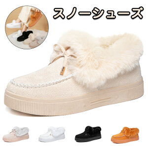 Xm[V[Y fB[X  ~p y N hC h RtH[g  ᓹ V[g u[eB ₷ ʊw ʋ _炩 ۉ ȌC JWA p Ȃ t@[