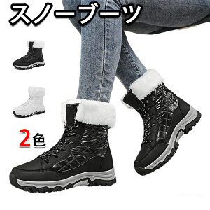 Xm[u[c fB[X u[c Xm[V[Y h ~  h Ȃ Xm[V[Y fB[X  ~p y N hC h RtH[g  ₷ ʊw ʋ _