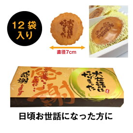【即日発送】 お世話になりました 煎餅 12袋入り 個包装 メッセージ入り お菓子 詰め合わせ ギフト 退職 挨拶 お礼 粗品 プチギフト 大量 企業向け 和菓子 贈答用 着色料・保存料不使用