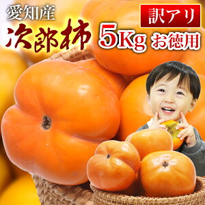 yAzY` mY p Ƃт肨 20`30ʑO 5kg 