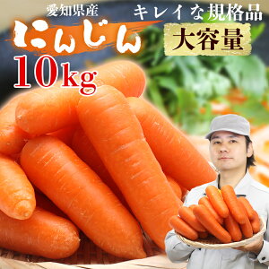 �y�Ɩ��p��e�ʁz�ɂ񂶂� ���m���Y ���ꂢ�ȋK�i�i �l�Q �Ƃт��肨������ ��2kg/5kg/10kg