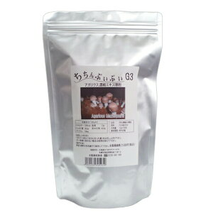 ՂՂG3AKNXZk1.5g×1001ykCEEʓrKvzysmtb-kzyw1z