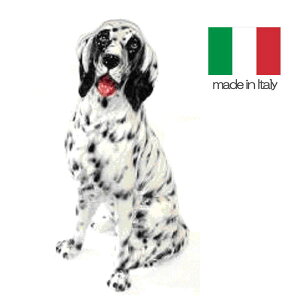 C^A  u  Zb^[  AƋ QSM-220