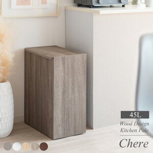 ؐLb`y[ Empro Gv[ _Xg{bNX 45×s26.5×61cm 4F zCg i` uE O[W vbVvbV_Xg{bNX S~ ݔ BS~ 