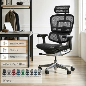�G���S�q���[�}�� PRO2 High Type �G���S�q���[�}���v��2�n�C�^�C�v Ergohuman EHP2-HAM-5D-DR �I�t�B�X�`�F�A �Q�[�~���O�`�F�A ���������� ������� ���ɂ��� �e�����[�N �����[�g���[�N 5D�A�[�� 