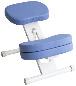 p̗ǂȂ֎q fXN `FA ql܂ ⏕NbVtoX`FA^Cv CH-889CK q֎q  t002-m045-prc-c89k QSM-160 MMK Ƌ@