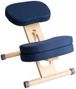 p̗ǂȂ֎q fXN `FA ql܂ ⏕NbVtoX`FA^Cv CH-889CK q֎q  t002-m045-prc-c89k QSM-160 MMK Ƌ@