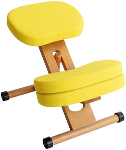 p̗ǂȂ֎q fXN `FA ql܂ ⏕NbVtoX`FA^Cv CH-889CK q֎q  t002-m045-prc-c89k QSM-160 MMK Ƌ@