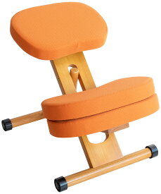 姿勢の良くなる椅子 デスク チェア 【予約販売】CH-889CK CH-N889CK 子供から大人まで 補助クッション付きバランスチェアタイプ 子供椅子 t002-m045-prc-c89k QSM-160 MMK 家具
