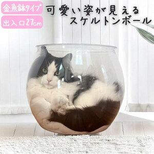 L  KXȂ 27×28cm  Lp ybgp ybgpi lR ˂ ybgxbh  NA{E {E XPg{[ {E ybgnEX LnEX Lxbh LQ L