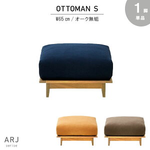 Ibg} STCY 65cm Y { Ebht[ zCgI[NߗLC ICh 100 hCN[jOΉ RCXvO O[ CG[ lCr[ l| \t@ X