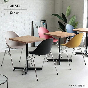 _CjO`FA 1r̂ 58cm PP X`[ x[W bh ubN u[ CG[ _ k JtF X^CbV HCX  킢 `FA `FA[  CX 