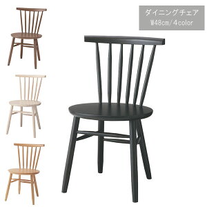 _CjO`FA 1r̂ 48cm x[W i` EbfBO[ ubN _CjO`FA[ HCX  _ _CjOp Hp Hp k  lC Vv 