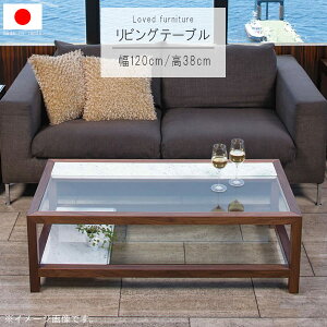 rOe[u ̂ 120cm KX8mm ` { VR嗝΃rARJ[ EH[ibg rOe[u [e[u   cNG Vv _ k GYHC QOG-2