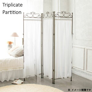 3Ap[e[V̂ 48cm 170cmi1Aj[XJ[et AeB[N S[h X`[t[ ډB Ԏd؂ rO v ֗   Vv vZX