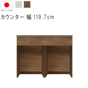 �L�b�`���J�E���^�[ ��120cm ����93cm 18.4�� �V����Z�b�g WH�ؖ� BR�ؖ� �_�X�g�I�[�v���^ �_�X�g�{�b�N�X�Ή� ���o�� ���o ���{�� �T�C�h�{�[�h ���r���O���[ �L�b�`���J�E���^�[ �k�� �V��