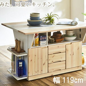 Lb`JE^[ 119cm ʃo^tC pC ؐ LX^[t VR [t _CjOe[u JE^[e[u ʃJE^[ GOK QOG-80 m170-ais-ca119  o ړe