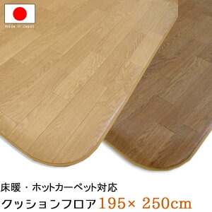 ~ NbVtA NbV tA 195×250cm 4.8mm g[Ή zbgJ[ybgΉ u Ɗ rj[NbVO J[ybg }bg _CjOO}bg 