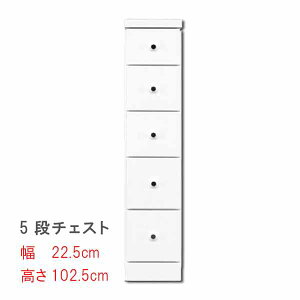 ܃Xȃ`FXg 22.5cm 5i`FXg zCg  XL}[ Ԏ[ Tj^[Ƌ h[`FXg ԃ`FXg h[Ƌ ԃ`FXg Tj^[[  Q