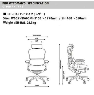高機能ヘッド付きオフィスチェア本革張り特別仕様ErgohumanBasicエルゴヒューマンベーシック牛革本革仕様ハイタイプEH-HAL