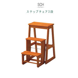 Xebv`FA 1r̂ 3i 40cm 64cm ݑ ⏕֎q ֎q CX  Xc[ [ RpNg ֗ Ei P1 QSM-160