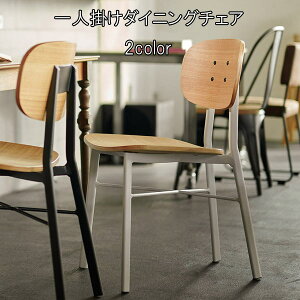 ֎q `FA _CjO`FA 42.5cm 2J[ i 1l| kƋ X`[r X`[ CX  ֎q 1lp lp _CjO Ebh _ Vv  IV  QST