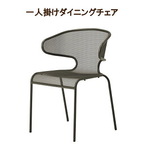 ֎q `FA X^bLO`FA 55.5cm i 1l| `[r X`[ CX Ogp@o[xL[ ֎q 1lp lp _CjO _ Vv  IV  QST-