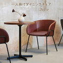 椅子 チェア アームチェア 幅58cm 2カラー 完成品 1人掛け 北欧風家具 スチール脚 スチール イス いす 椅子 1人用 一人用 ダイニング シンプル カフェ風 おしゃれ オシャレ お洒落 QST-220 北欧 北欧風 北欧系 チェア インテリア 御洒落 ダイニングチェアー