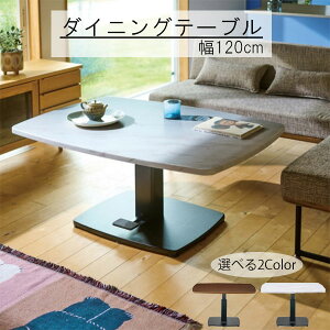 _CjOe[u 120cm iK~ AWX^[t X`[ JCC IV _ k Vv JWA rOe[u fXN  [NfXN ߉\ ~ V