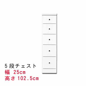 X `FXg 25cm 5i `FXg XL}[ Ԏ[ Tj^[Ƌ h[`FXg ԃ`FXg h[Ƌ h[[ ԃ`FXg Tj^[[ ܎[ PR